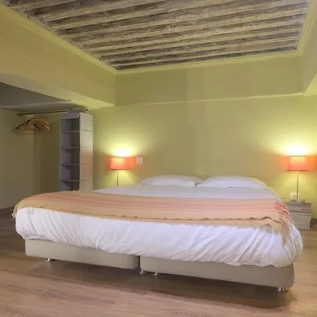 Hotel Riva Lofts And Suites Lyon